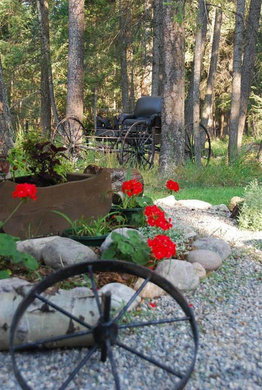 Kicking Horse Canyon Guest House Golden Eksteriør billede