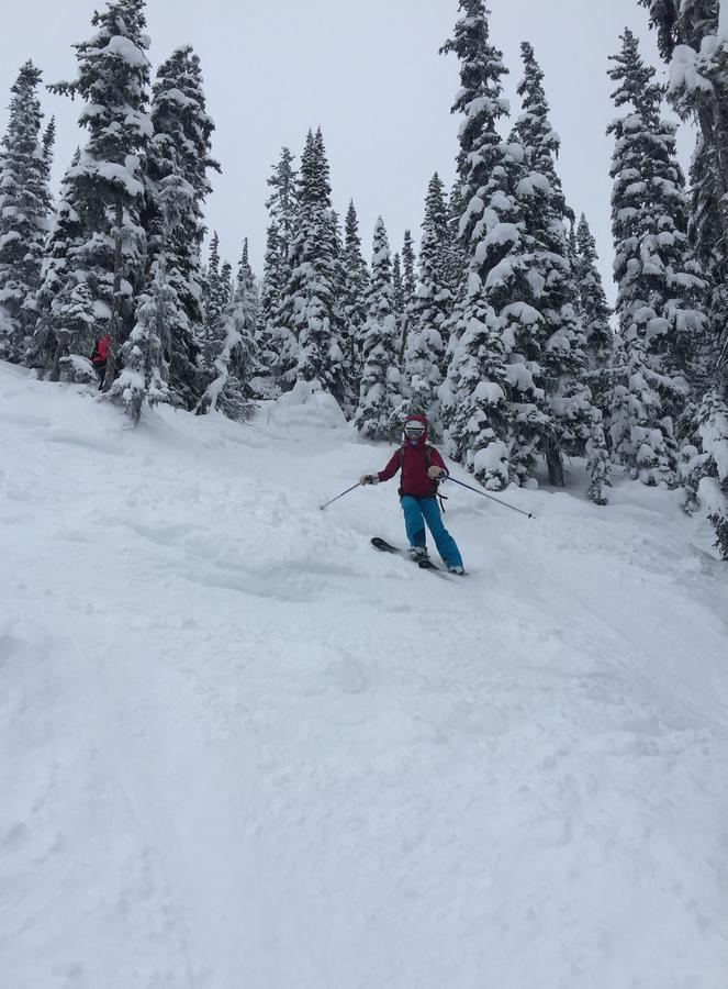 Kicking Horse Canyon Guest House Golden Eksteriør billede