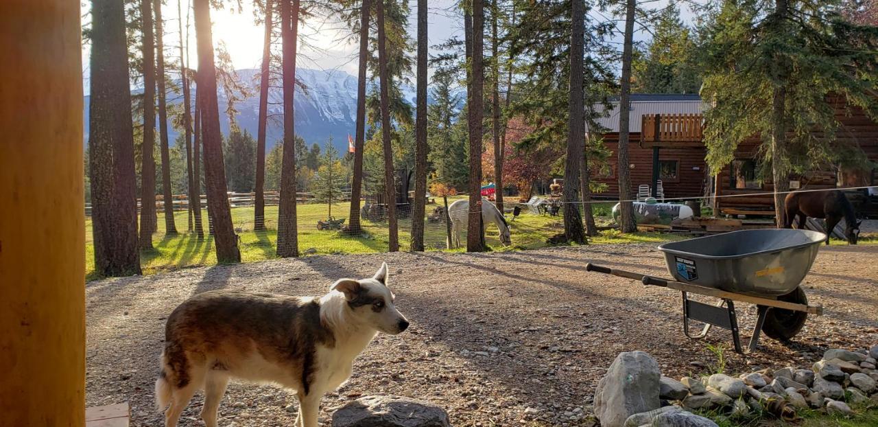 Kicking Horse Canyon Guest House Golden Eksteriør billede