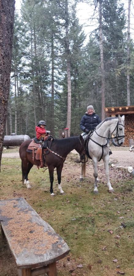 Kicking Horse Canyon Guest House Golden Eksteriør billede